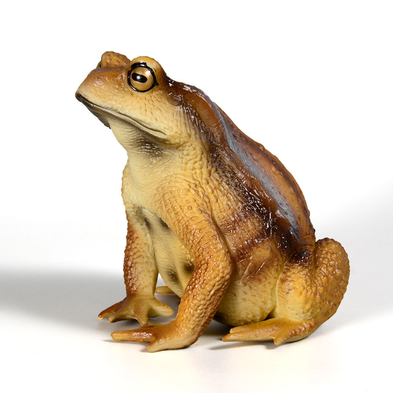 Kids First Education - Figur Katak Amfibi Model Serangga Simulasi