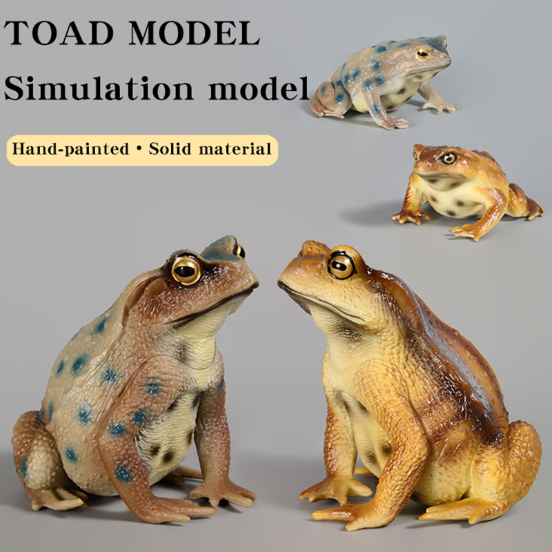 Figur Katak Amfibi Model Seran - Kids First Education ulasan dan harga