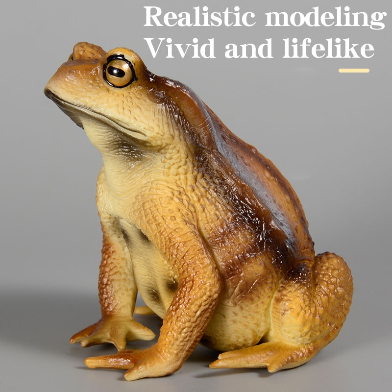 Figur Katak Amfibi Model Seran - Kids First Education ulasan dan harga